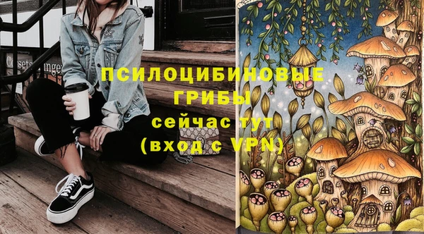 кокаин перу Богданович