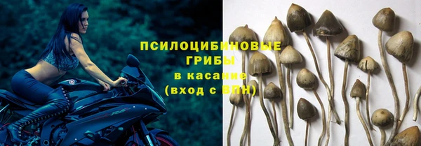 кокаин перу Богданович